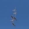 Aviation